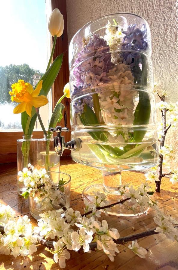 אסיסי Hotel La Torretta מראה חיצוני תמונה