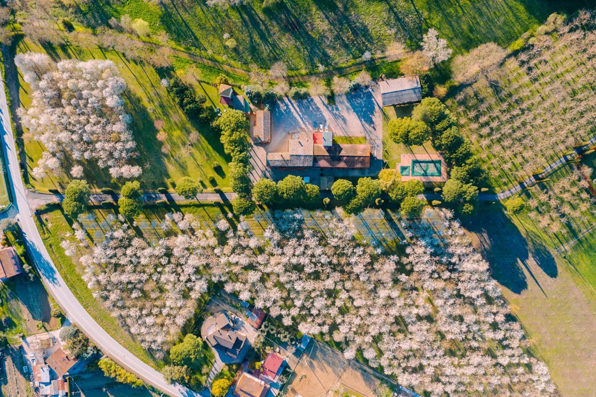 אסיסי Hotel La Torretta מראה חיצוני תמונה